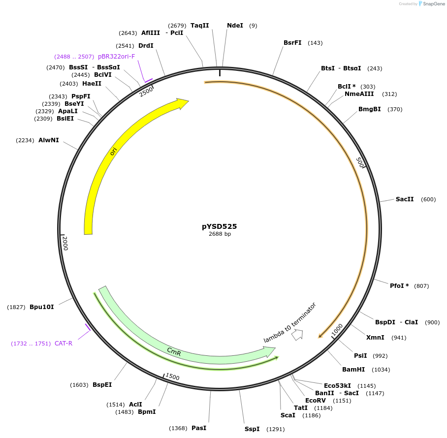 253010-plasmid-map-sequence-id-507364
