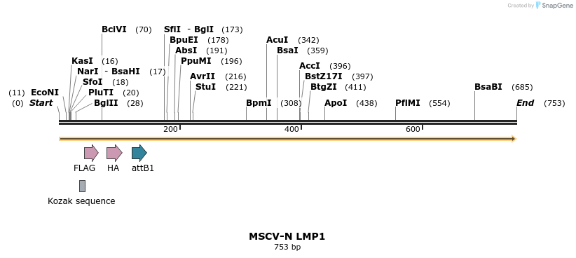 50739_map