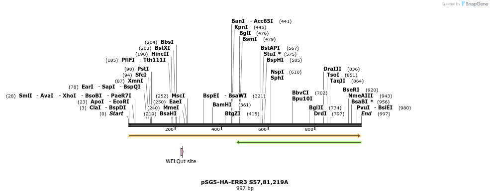50741_map