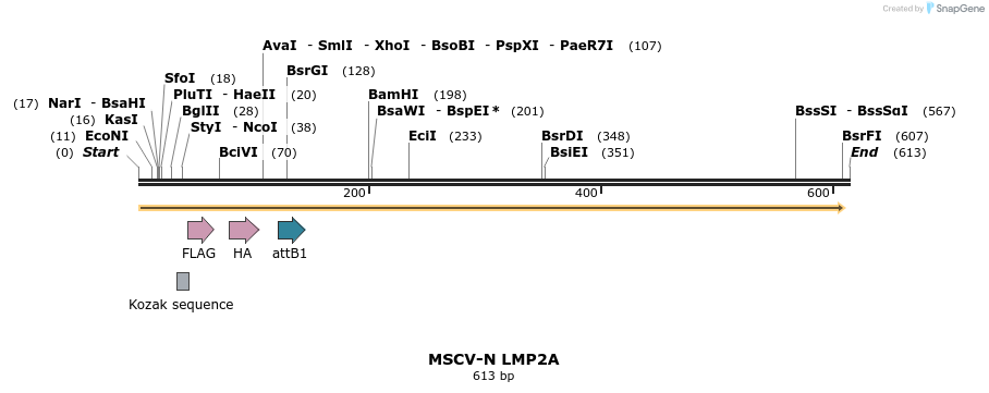 50743_map