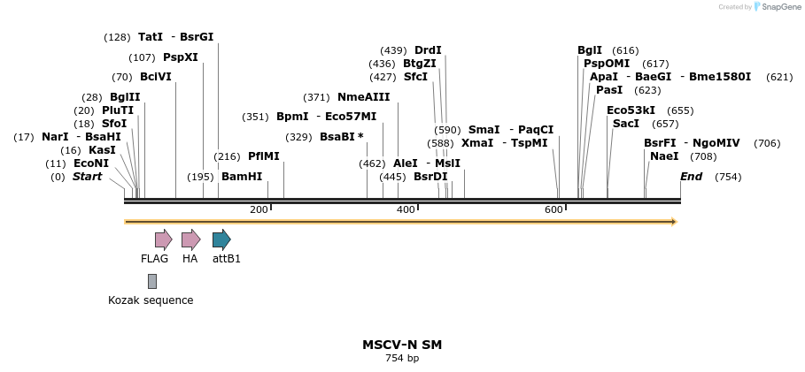 50747_map