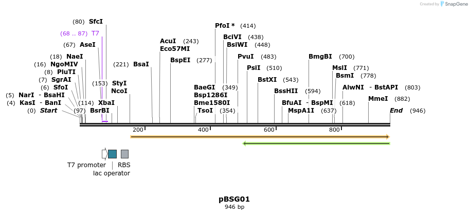 50750_map