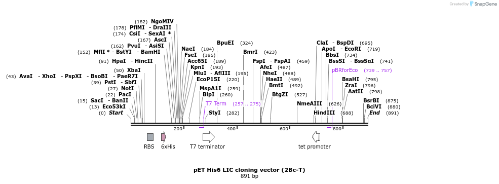 50751_map