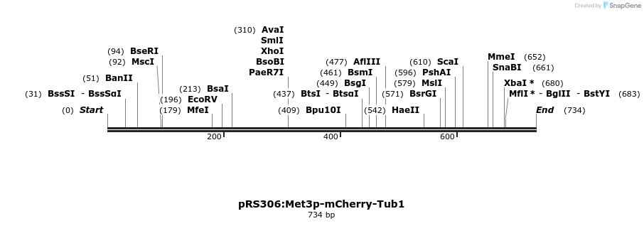 50753_map