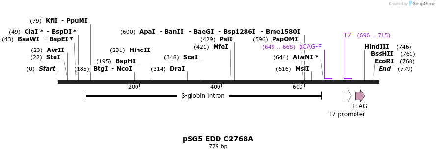 50756_map