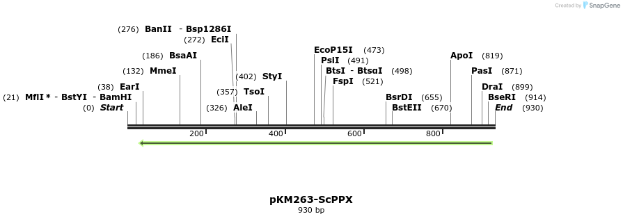 50758_map