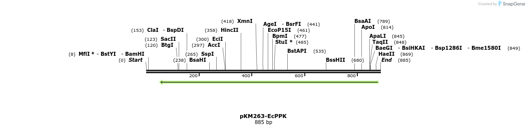 50761_map