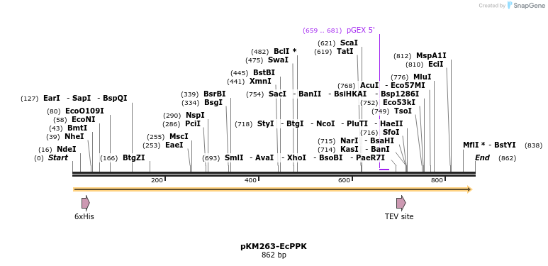 50762_map