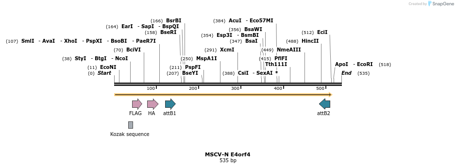 50763_map