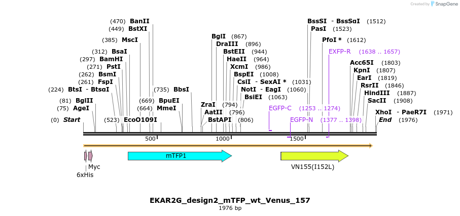 50768_map