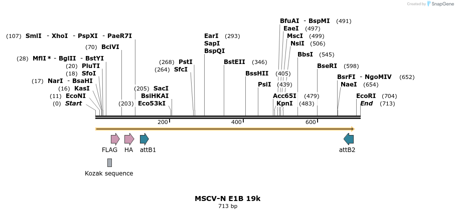 50769_map