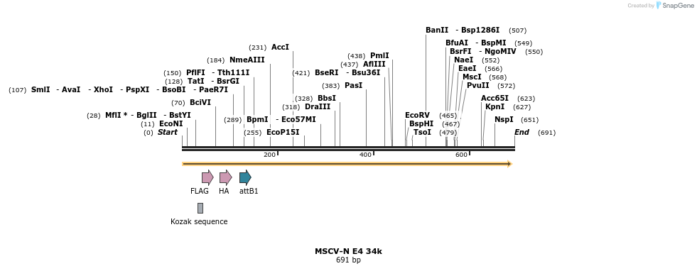 50770_map