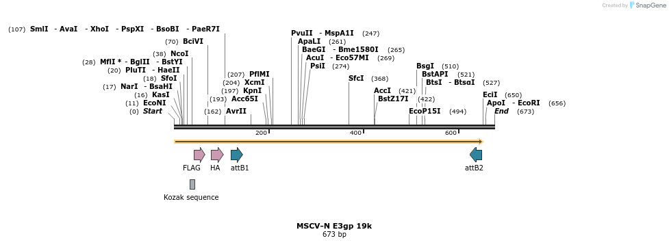 50771_map
