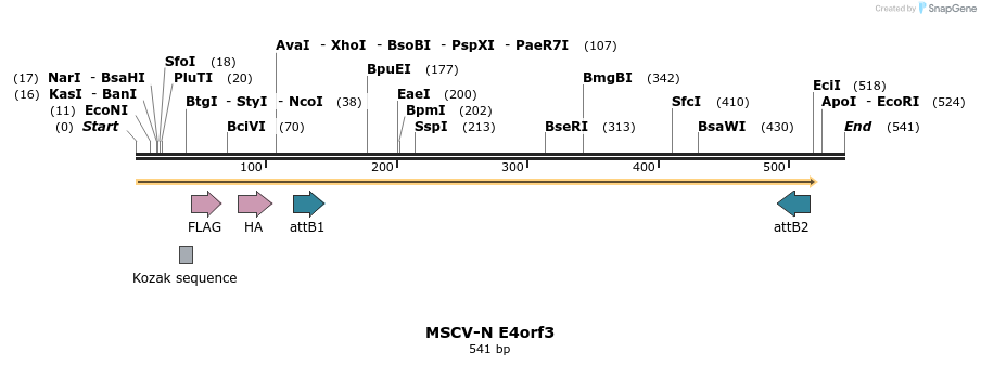 50772_map
