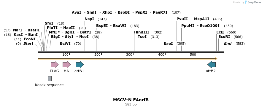 50773_map
