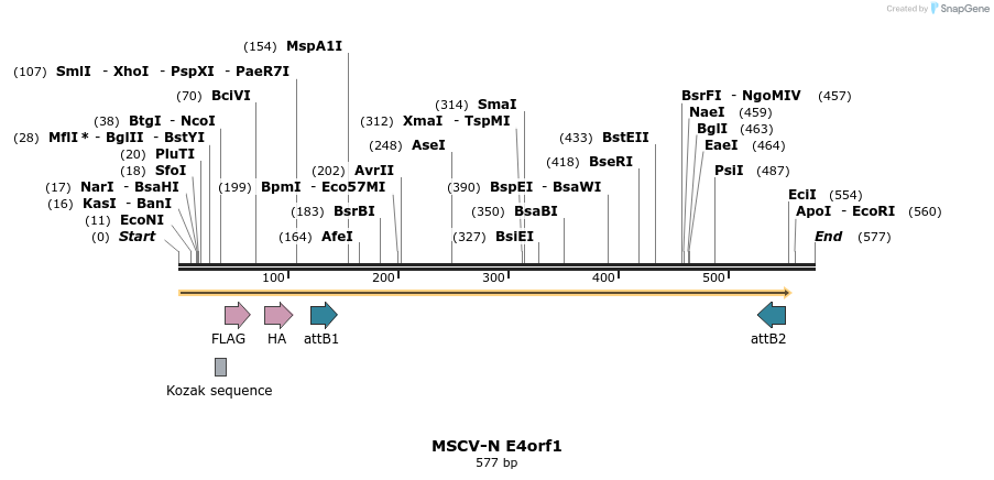 50774_map