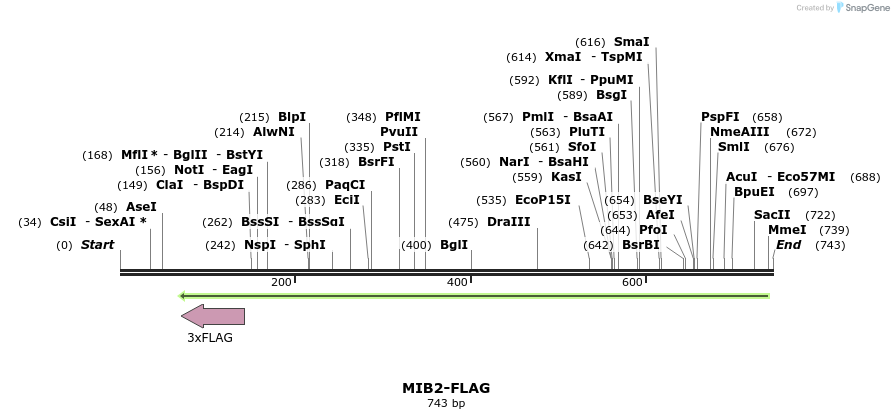 50779_map
