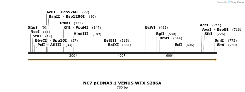 50780_map