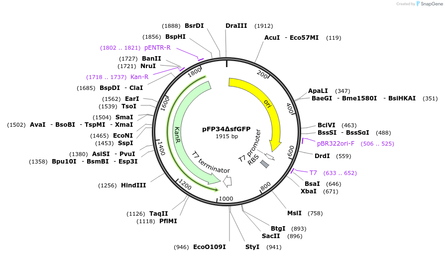 507800_map