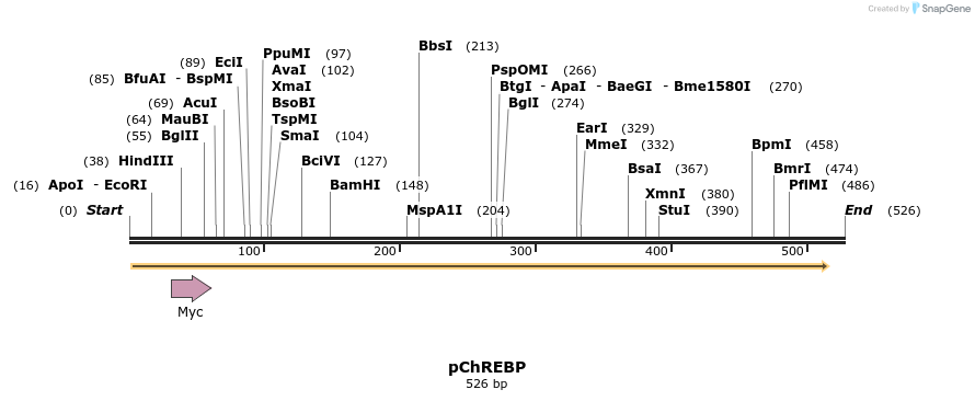 50782_map