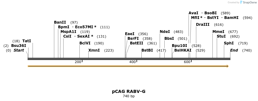 50786_map
