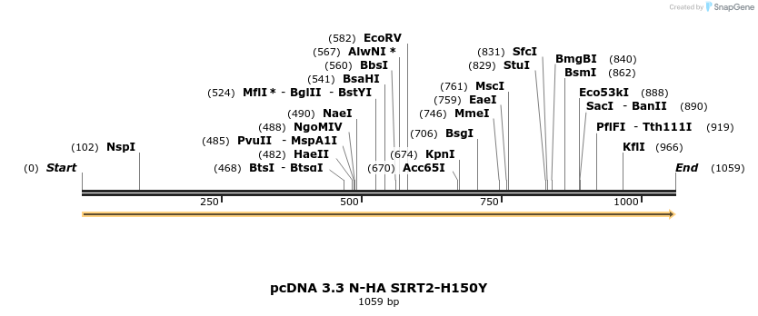 507873_map