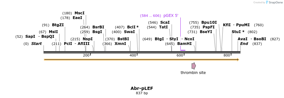 50788_map