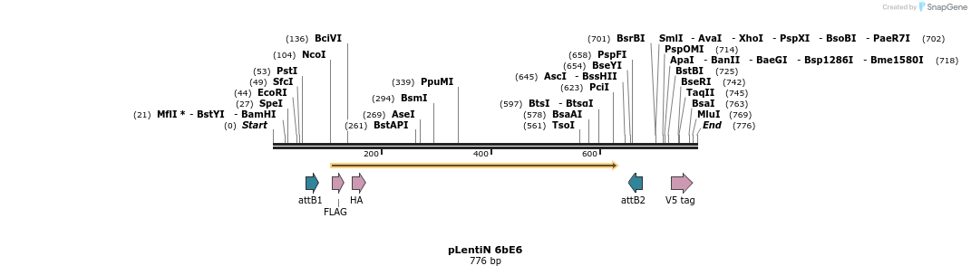 50789_map