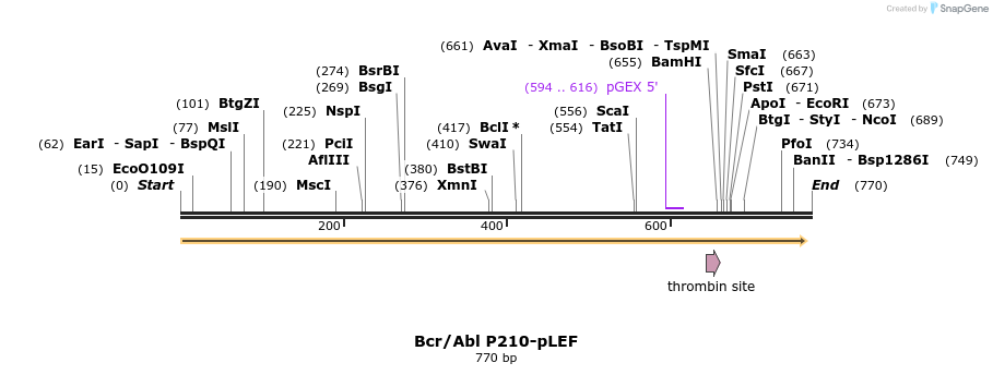 50790_map