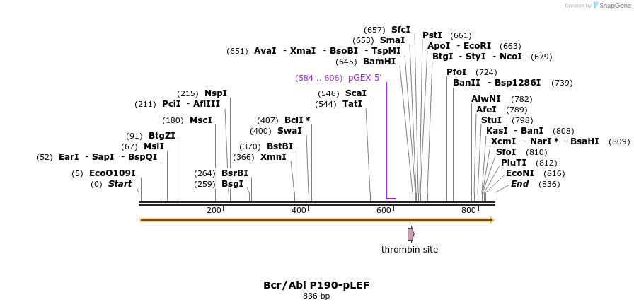 50791_map