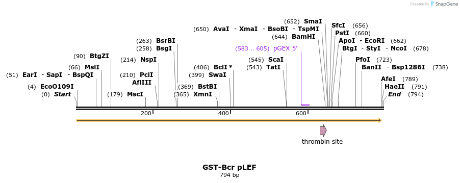50792_map