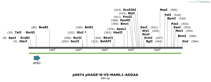 50793_map