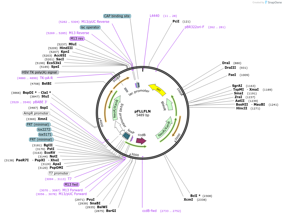 50802_map