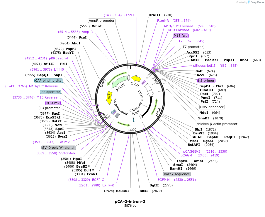 50803_map
