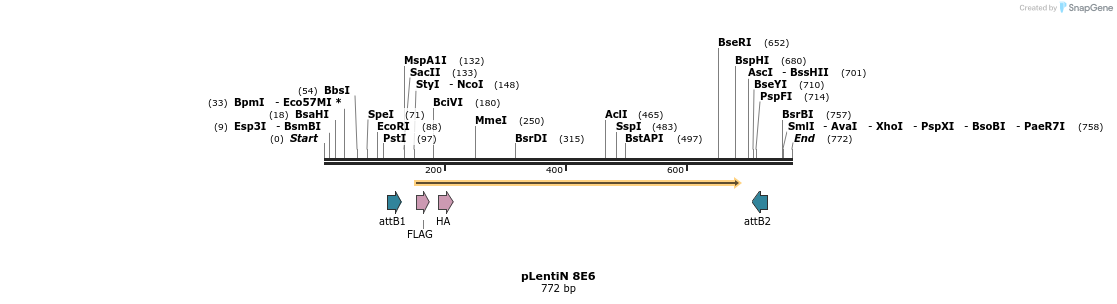 50807_map