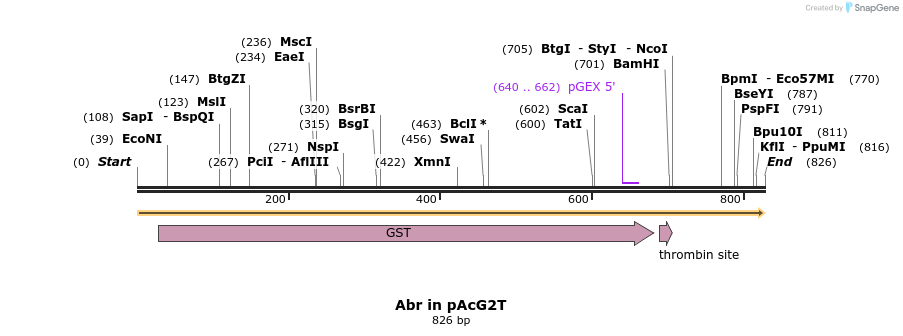 50810_map