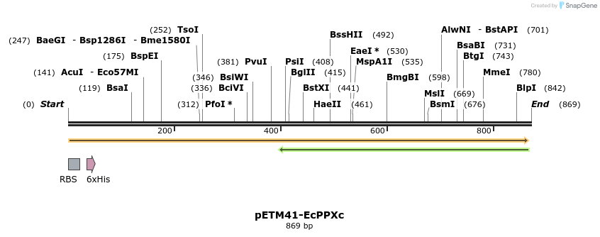 50811_map