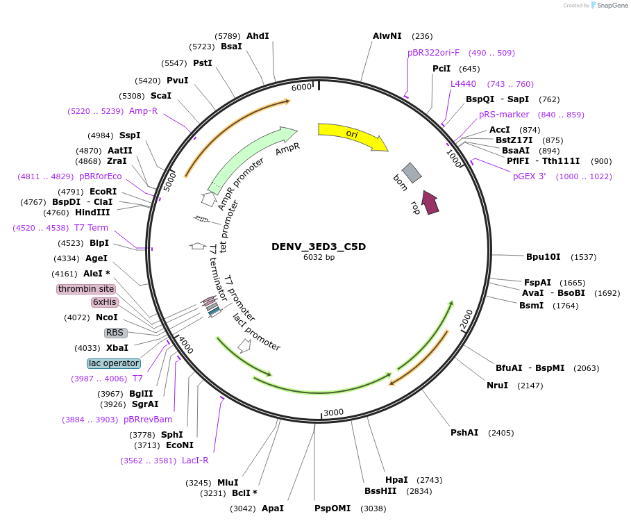 508113_map