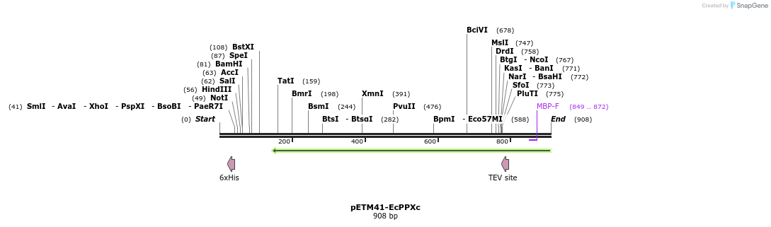 50812_map
