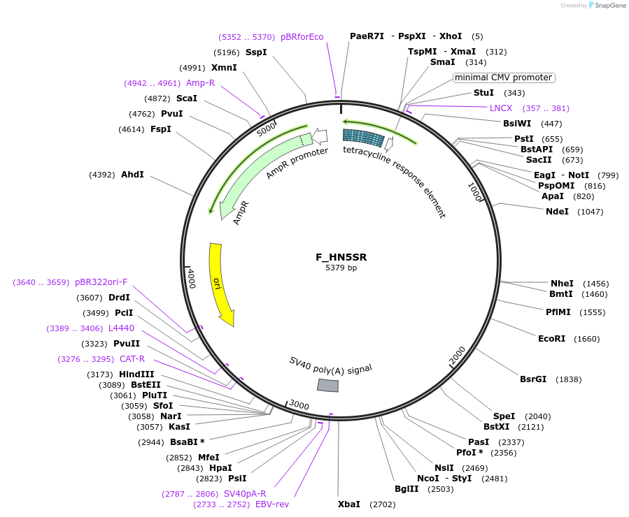 508120_map