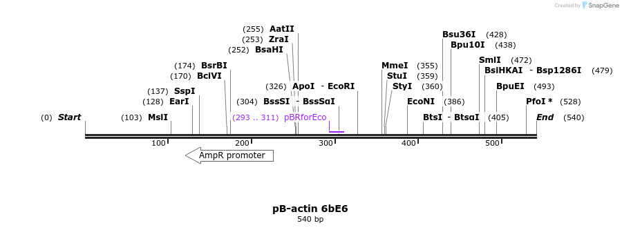 50814_map