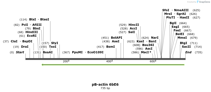 50816_map