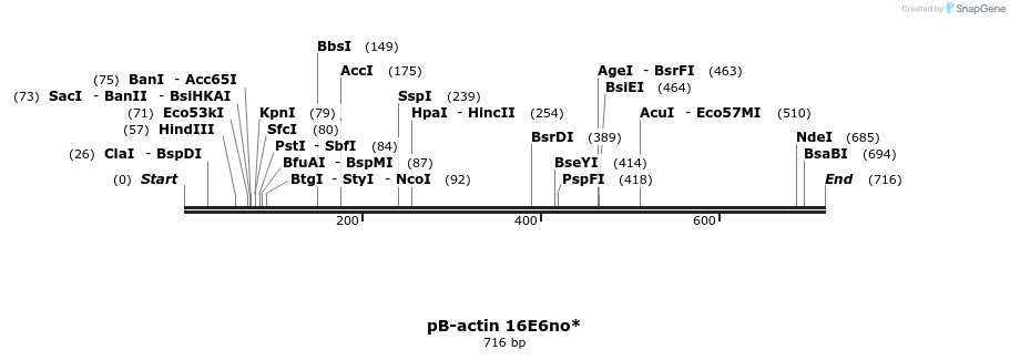 50817_map