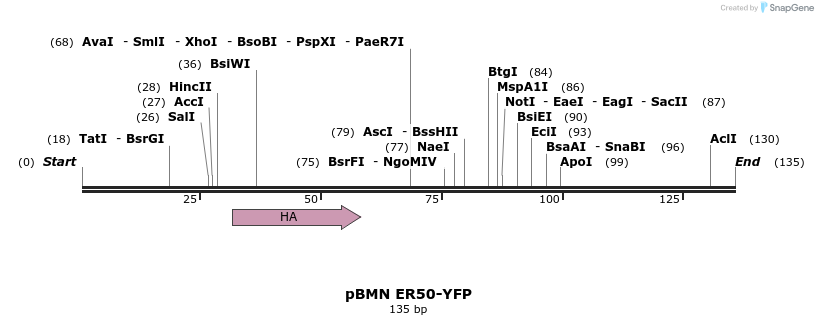 50818_map