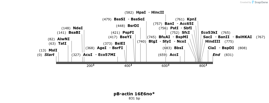 50819_map