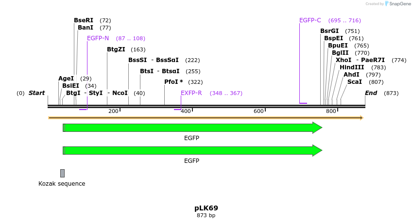 50820_map