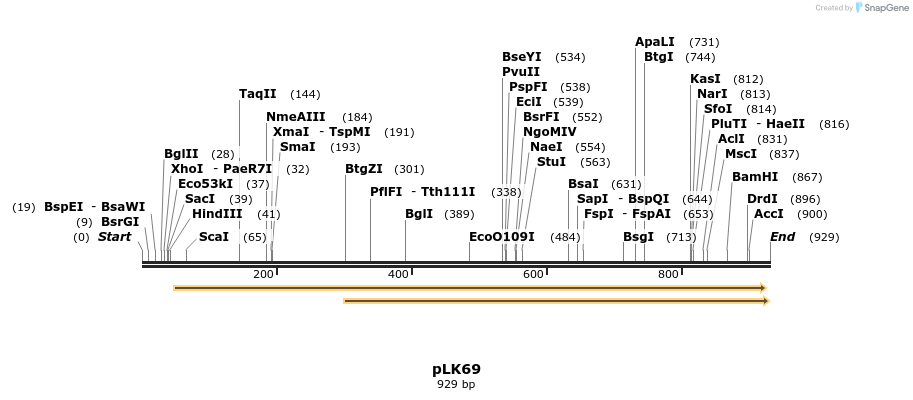 50821_map