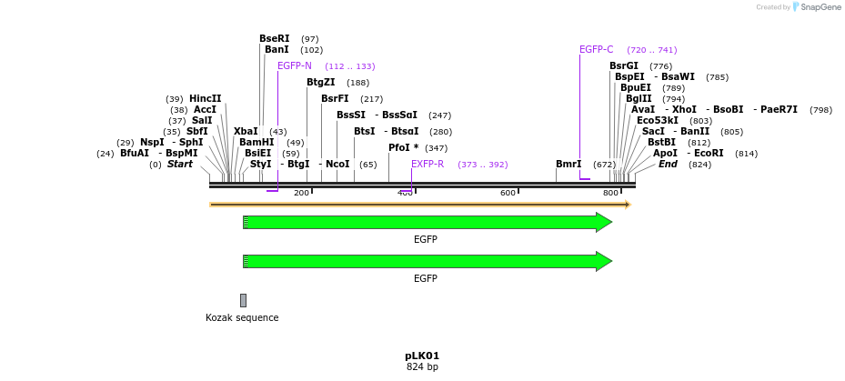 50822_map