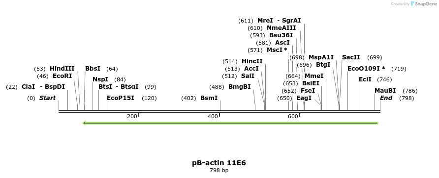 50824_map