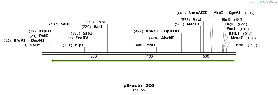 50825_map